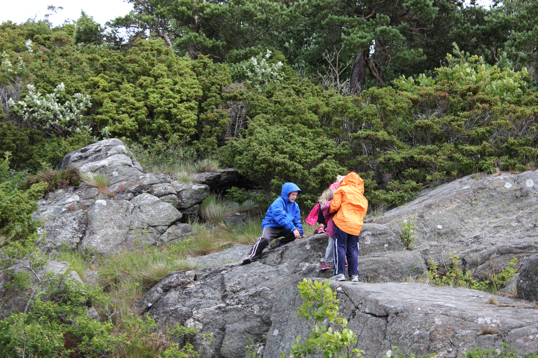 Midsummer Festivities