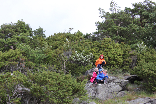 Midsummer Festivities